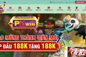 Pkwin – Sân chơi cá cược trực tuyến hấp dẫn, minh bạch
