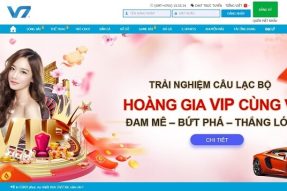 V7bet – Nhà cái cá cược an toàn, uy tín hàng đầu Việt Nam