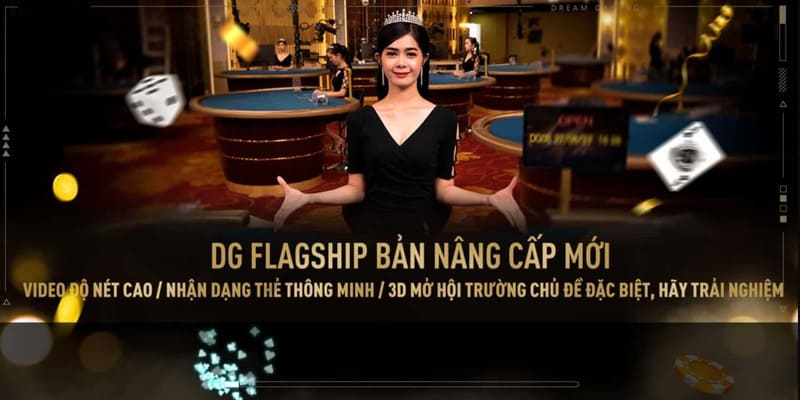 DG Casino Shbet và quy định chung 